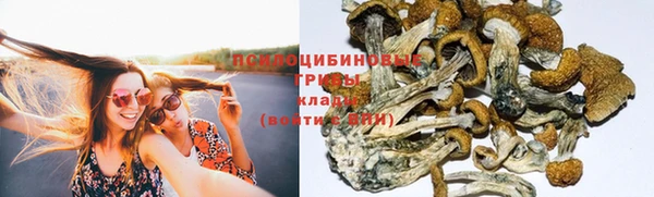 не бодяженный Анжеро-Судженск