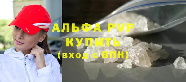 индика Анива
