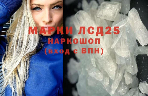 индика Анива