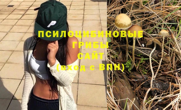 индика Армянск