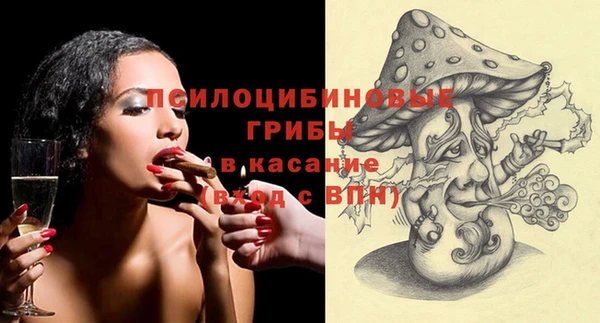 индика Армянск