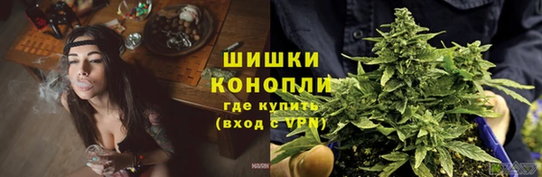 индика Анива