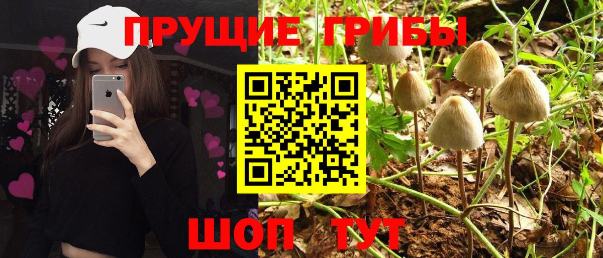 Бахчисарай  Псилоцибиновые грибы MAGIC MUSHROOMS  Вход с VPN  Псилоцибиновые грибы мухоморы 